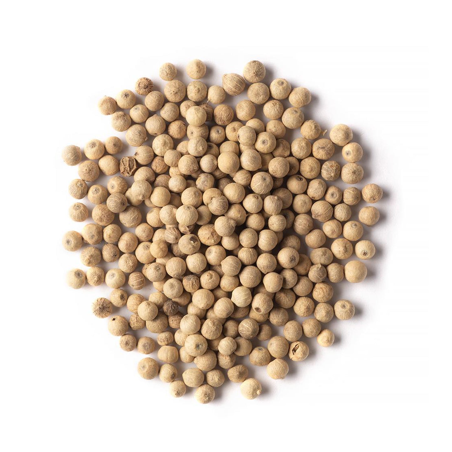 Organic Whole White Peppercorns for flavorful and aromatic dishes.
