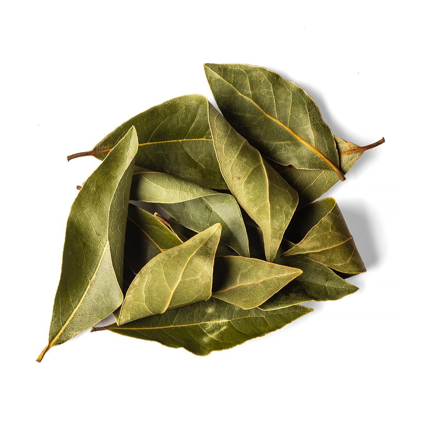 Organic Bay leaf, 0.04 lb - Buy Natural Dried Bay Leaves